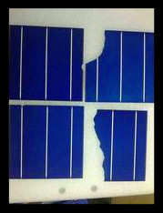 늳�Ƭ����